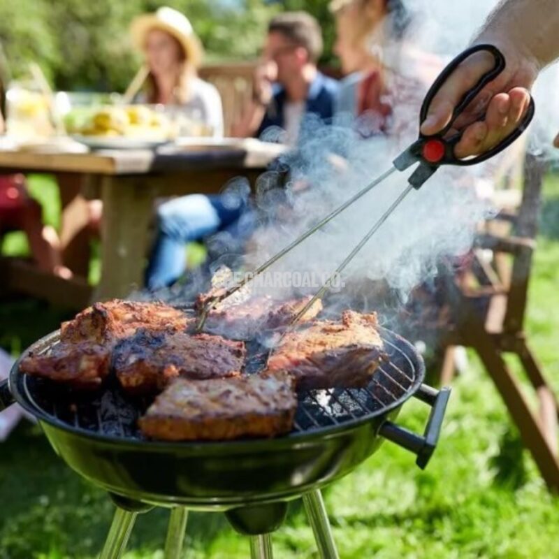 American Grill Needs The Best Charcoal, Do You Have It? 3 american grill